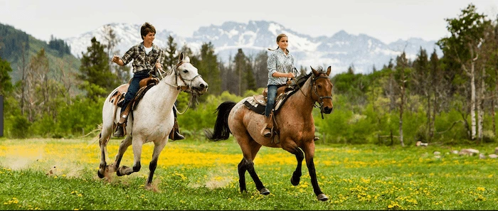 Confident plus-size woman riding Alton a horse through a field with a smile on her face.